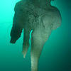 Picture taken during the dive