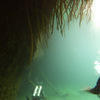 Picture taken during the dive