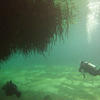 Picture taken during the dive