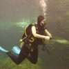Picture taken during the dive