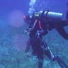 Picture taken during the dive