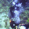 Picture taken during the dive