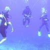 Picture taken during the dive