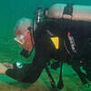 Picture taken during the dive
