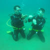 Picture taken during the dive