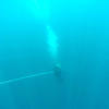 Picture taken during the dive