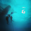 Picture taken during the dive
