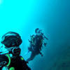 Picture taken during the dive