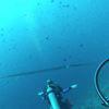 Picture taken during the dive