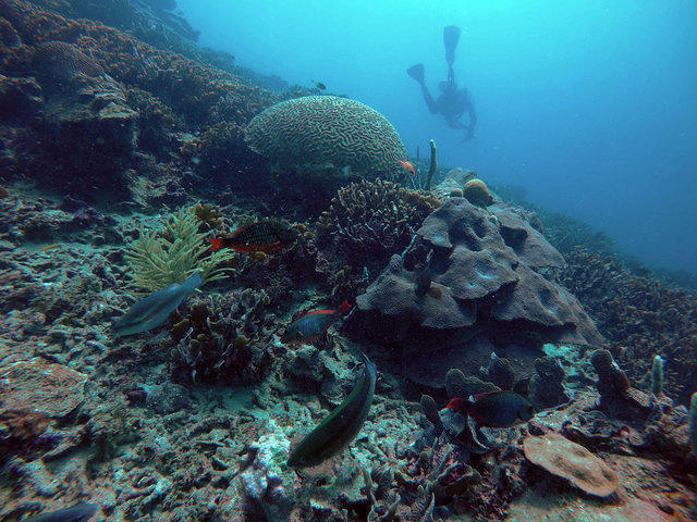 #