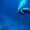 Picture taken during the dive