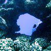 Picture taken during the dive