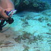 Picture taken during the dive