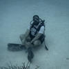 Picture taken during the dive