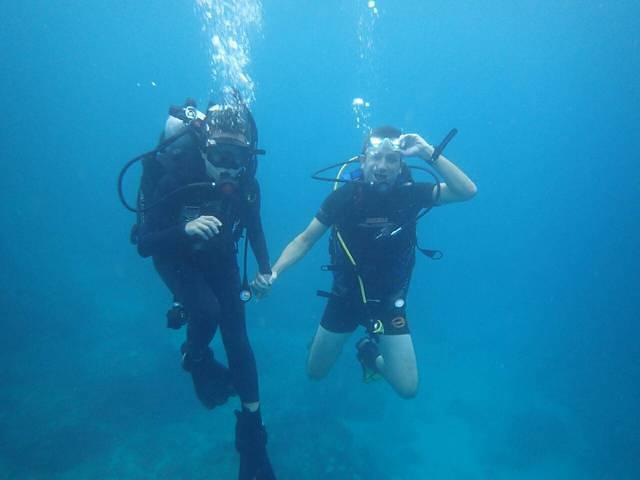 Green Sea Turtle Diving - Dive Center in Taiwan