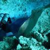 Picture taken during the dive