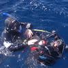 Picture taken during the dive