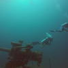 Picture taken during the dive