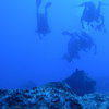 Picture taken during the dive