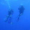 Picture taken during the dive