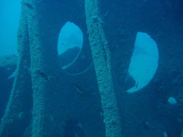 Marina Diving Center - Dive Center in Italy