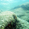 Picture taken during the dive