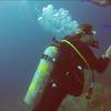 Picture taken during the dive