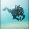 Picture taken during the dive