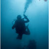 Picture taken during the dive
