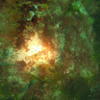 Picture taken during the dive