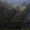 Picture taken during the dive