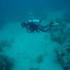 Picture taken during the dive