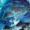 Picture taken during the dive