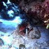 Picture taken during the dive