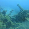 Picture taken during the dive