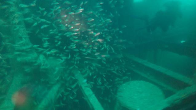 Scuba World - Dive Center in Australia