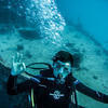 Picture taken during the dive