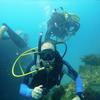 Picture taken during the dive