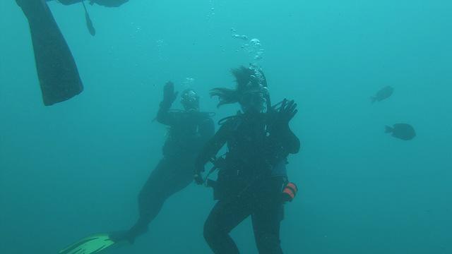 Scubatech Of NW Florida - Dive Center in United States