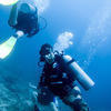 Picture taken during the dive
