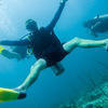 Picture taken during the dive