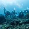 Picture taken during the dive