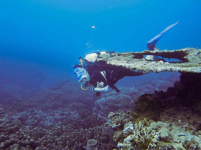 Swahili Divers - Dive Center in Tanzania