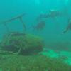 Picture taken during the dive