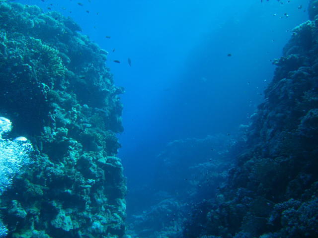 Blue Water Dive Resort - Dive Center