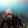 Picture taken during the dive