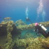 Picture taken during the dive