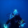 Picture taken during the dive