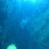 Picture taken during the dive
