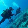 Picture taken during the dive